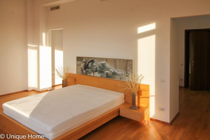 Iancu Nicolae : Penthouse spectaculos, cu terase de peste 300 mp ! - 10