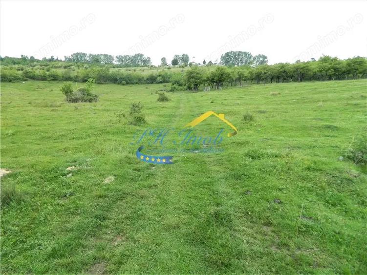 Teren intravilan de vanzare, Campina Prahova - 5