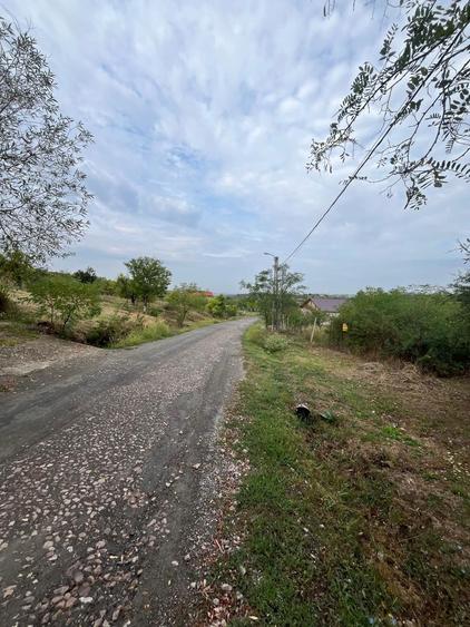 VAND 1000 M Teren INTRAVILAN ,Zona Adevarului Strada LIVEZILOR - 3