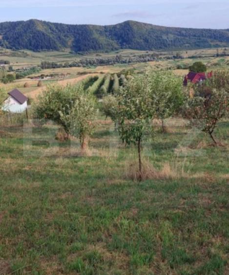 Teren cu livada 120 pomi,imprejmuit 33Ari,intravilan,zona Na - 4