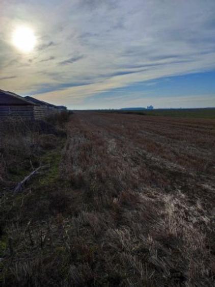 Teren de vanzare 12.070 mp - 2