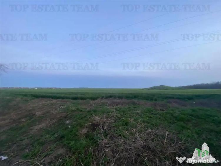 Teren intravilan 15000 mp Costinesti, Constanta - 5