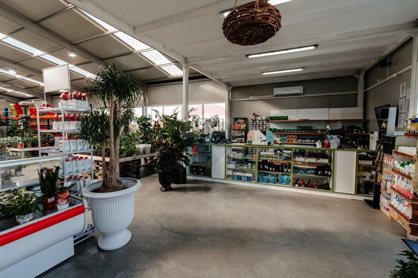 Spatiu industrial de 457mp de vanzare in zona Calea Santandrei - 4