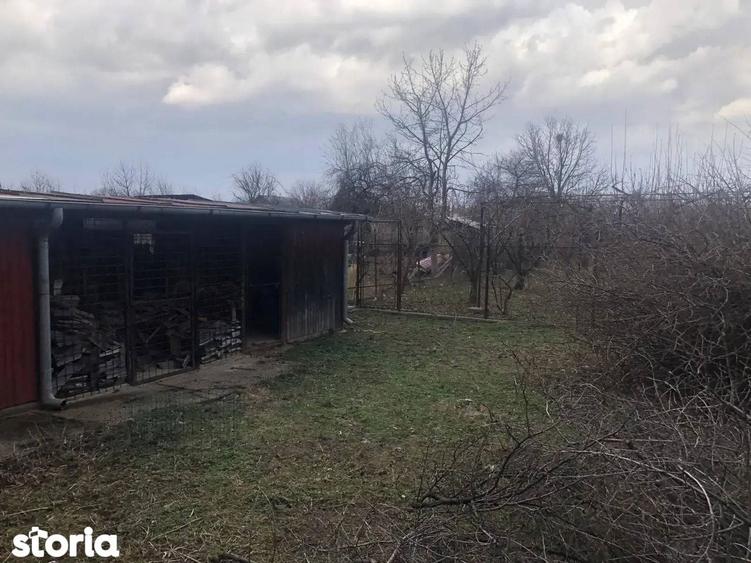 Casa cu imbunatatiri, curte + livada Drajna de Jos / Prahova! - 20