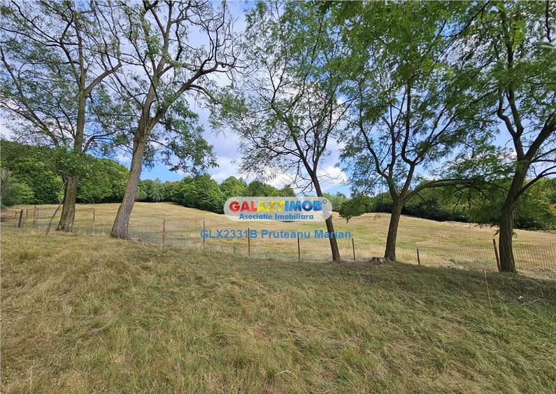 Teren 2680 m situat la Curtea de Arges cu iesire spre Trans - 8