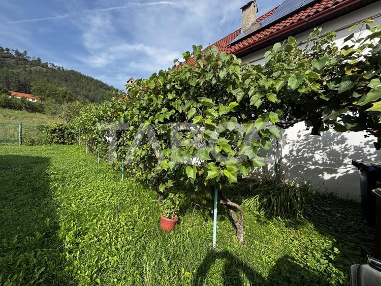 Casa saseasca de vanzare + bonus doua terenuri Seica Mare Sibiu - 6