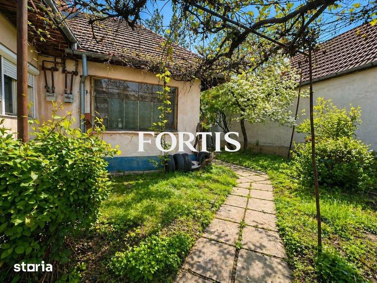Casa de vanzare in Fagaras, zona 13 Decembrie 0% COMISION - 14