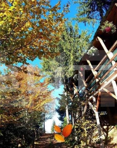 Cabana 8 camere, 450 mp, teren, 2200 mp, zona Garda de Sus - 8