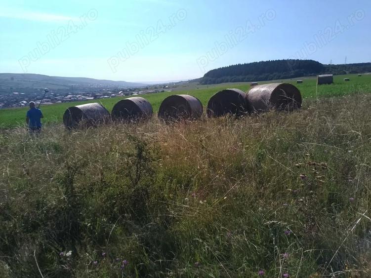 Chinteni 40 euro mp - 5