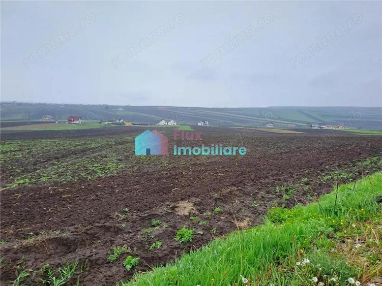 Teren intravilan 2391 mp in Sf. Ilie - 5