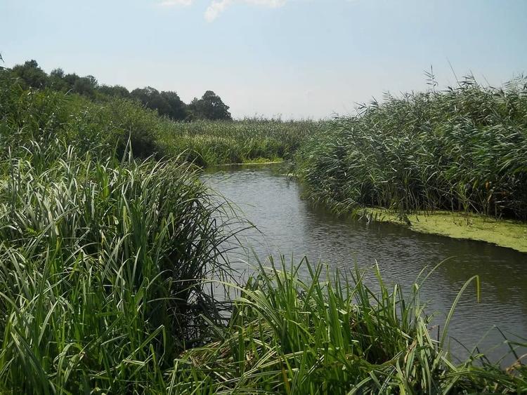 Vând loturi de 527 si 635 mp lângă Delta Neajlovului la cel mai bun preț - 8