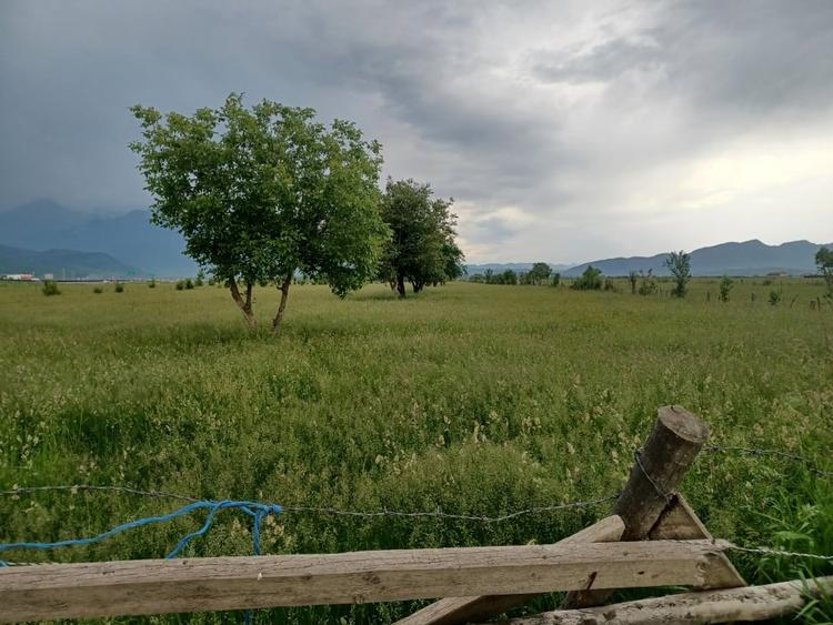 Teren intravilan Rasnov - 5