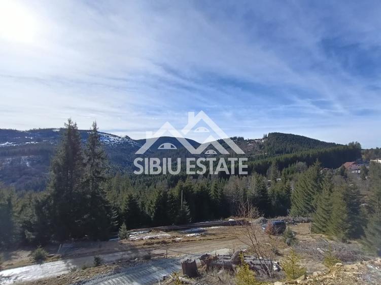 Teren de vânzare în zona montană a județului Alba - 9