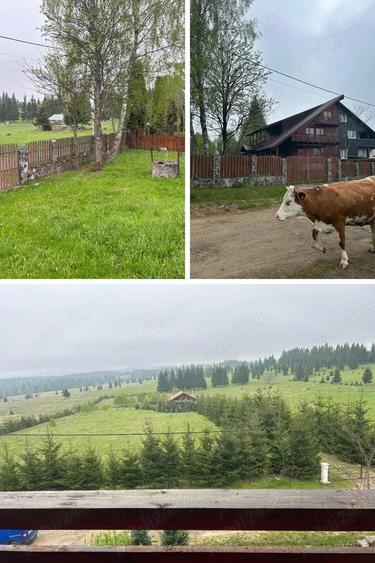 Casa P+2M, 330 mp desfa?ura?i, 1000 mp teren ideala pentru pensiune, Ra?ca (Cluj) - 5