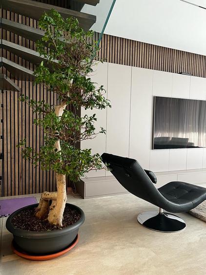 VILA MOBILATA - ZONA MATEI MILO - 7 CAMERE - 5