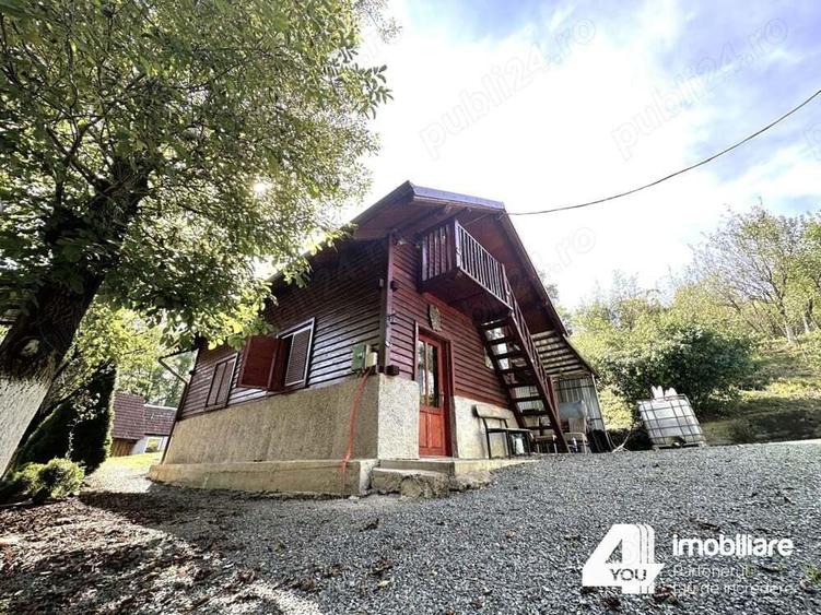 Casa de vacan?a in Gro?ii Noi, jude?ul Arad - 4