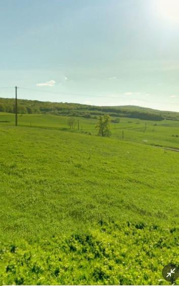 Vanzare teren de constructii, intravilan sat Mera, com Baciu, 2200 mp. - 1