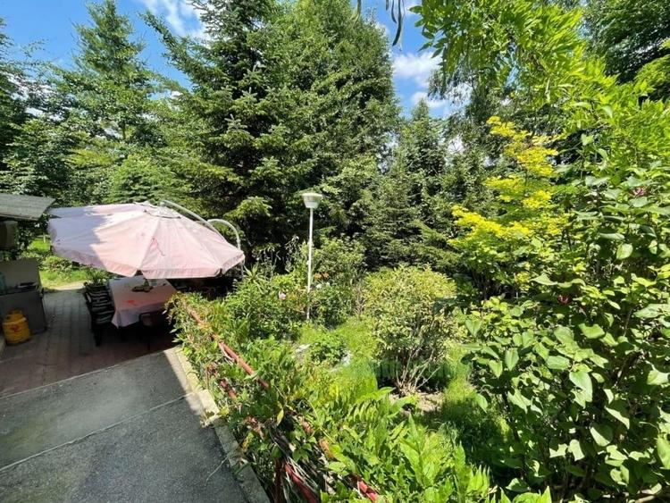 Proprietate deosebita cu gradina superba, luxurianta, 3000 mp, Breaza - 5