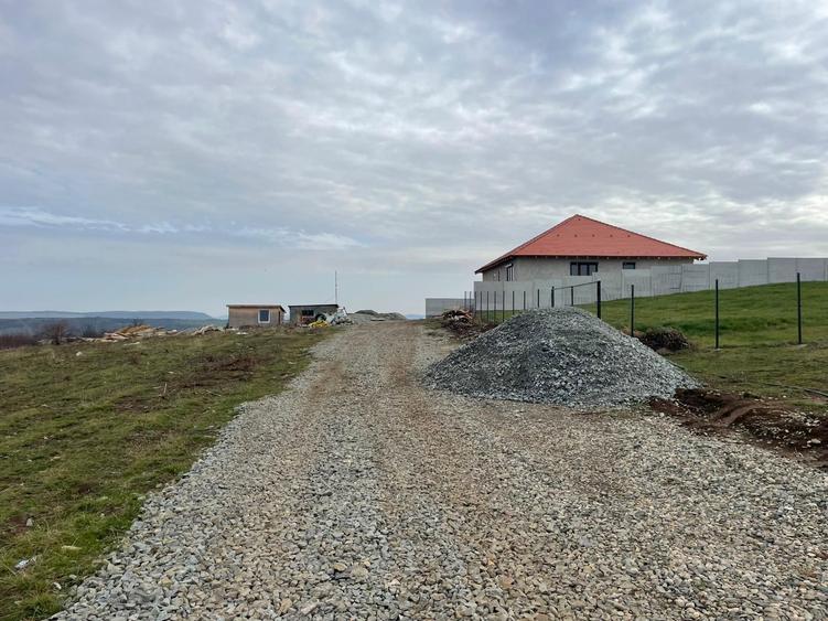 Teren intravilan parcelat Daia Noua - 1