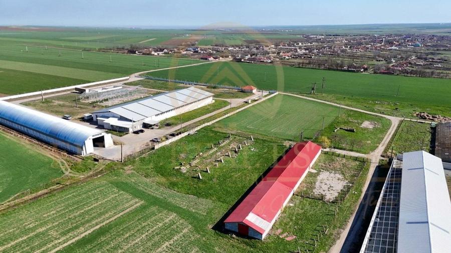 Tariverde - Ferma zootehnica functionala, 3 hectare teren intravilan! - 2