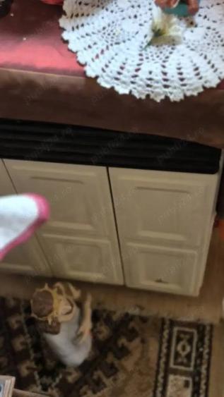 Garsoniera 24 mp, parter langa Sibiu in orasul Victoria, pret 11000 euro - 6