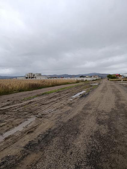🌳 Teren de vânzare în Comuna Cristian – județul Brașov - 1