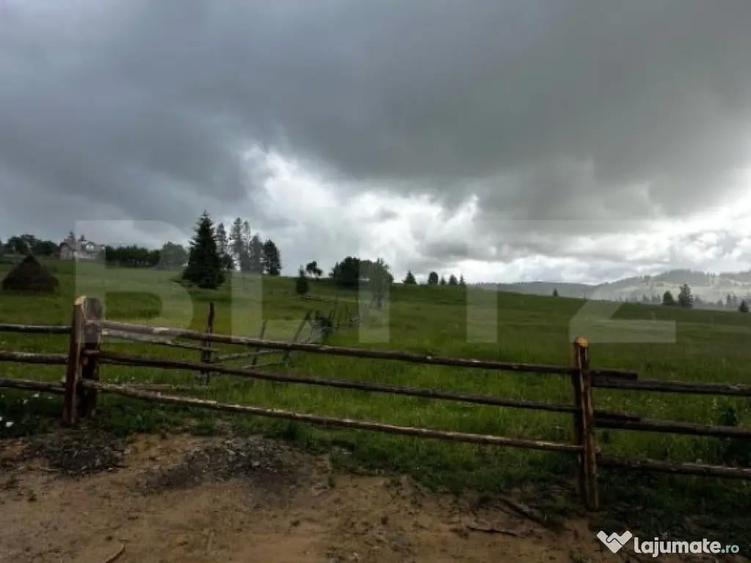 Teren de vanzare intravilan in Poiana Stampei, 2 hectare - 4