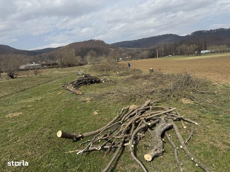 Teren de 3310 mp cu acces facil - 1