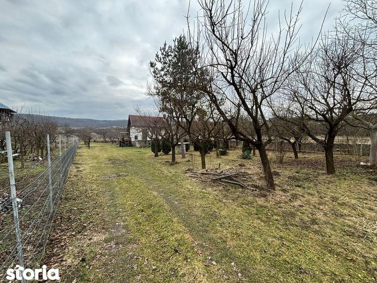 Teren intravilan construibil Sopor/Borhanci - 2