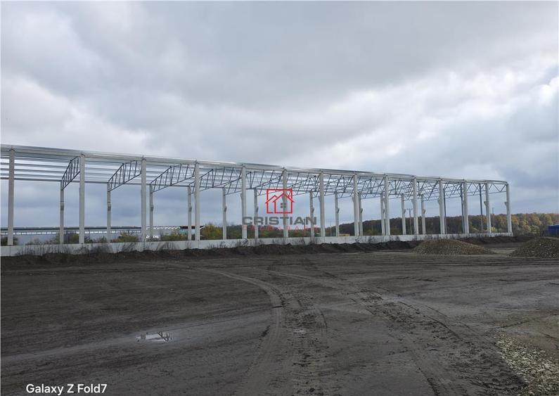 Depozit/hala/spatiu industrial Mogosoaia - Buftea - 3