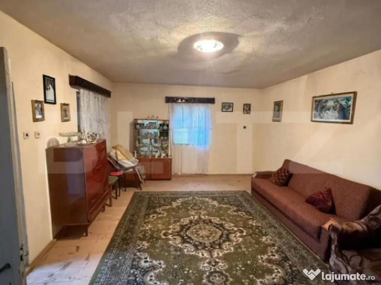 Proprietate completa in Sacuieni- Doua Case + Anexe - 2