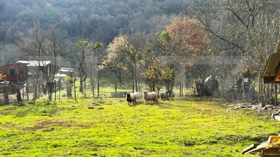 VAND CASA SI TEREN IN ARCALIA, CU TOATE UTILITATILE SI 19 ARI DE TEREN - 6