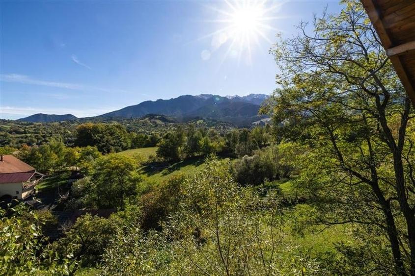 FILM! Edificu remarcabil, deschidere oportunitate de customizare - 23