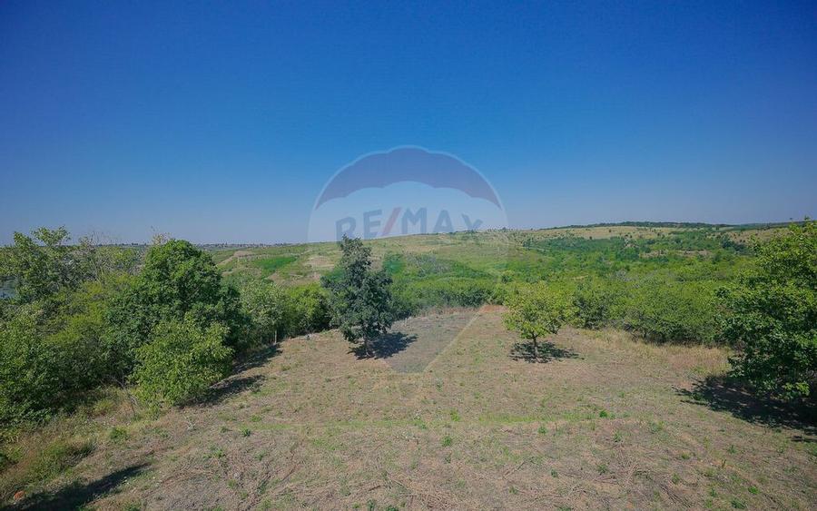 De vanzare casa cu un proiect deosebit, la ro?u , Str.... - 5