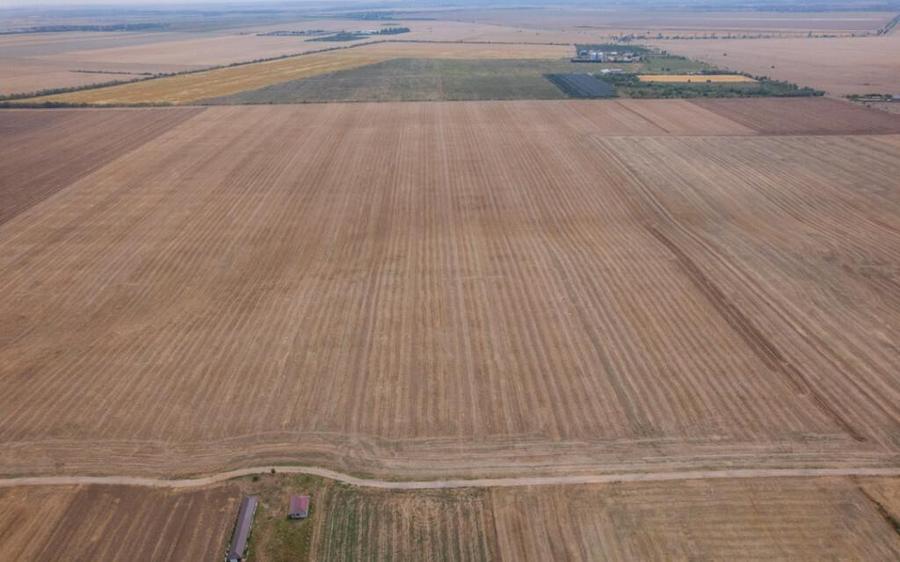 FRUMUSANI - PASAREA, TEREN 14420 MP, FRONT 40 M! - 5