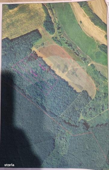 Teren forestier 15,618 mp Santimreu / com. Salard - 10