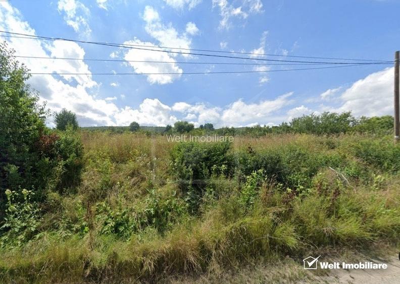 Teren cu front 40 m la strada Valea Chintaului, extravilan Teren cu front 40 m la strada Valea Chintaului, extravilan