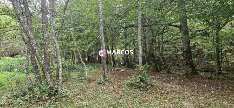 Teren Valiug, 612mp,ID 1036 - 3