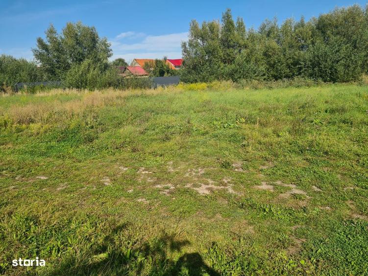 Teren intravilan-cu ceas de curent-380W,apa,canalizare,gaz. - 5