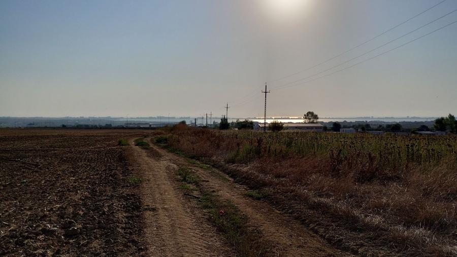 Teren pentru Parc Logistic, hale - Ovidiu - 7