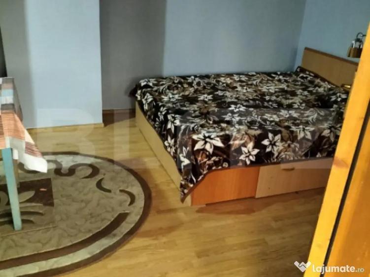 Gura Ocni?ei Casa de caramida - 2