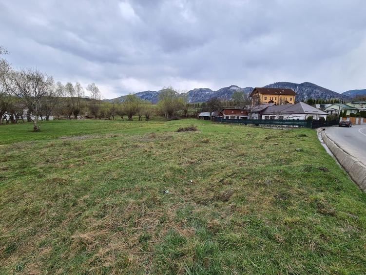 Teren Intravilan Tohanita - 3