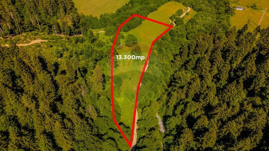 COMISION 0% Teren Bradet 7300 + 6000 mp/ Sacele /Intravilan - 6