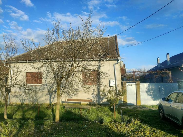 Vand casa cu gradina - 1