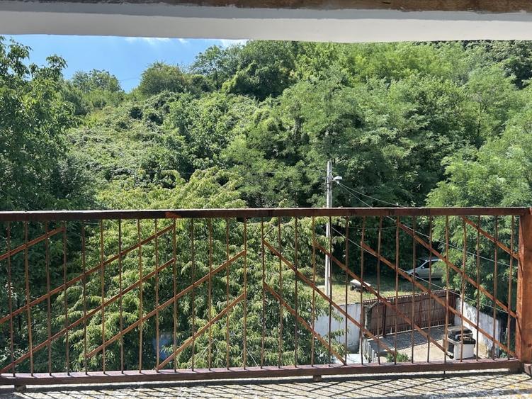 VAND O VILA IN PADUREA DIN FILIPESTI - 21