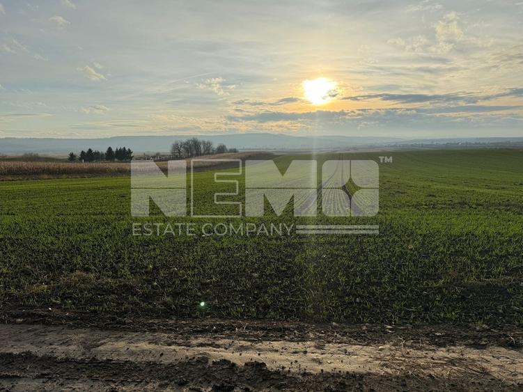 Teren agricol extravilan de 12400000 mp, în Grănicești
