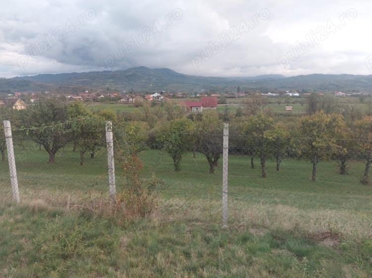 Teren de 10000 mp, în Josenii Bârgăului