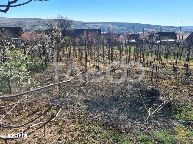 Casă cu 5 camere cu Teren 1400 Mp în Cut