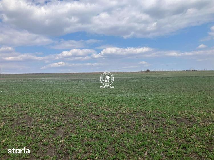 Teren de 2580 mp, în Movileni