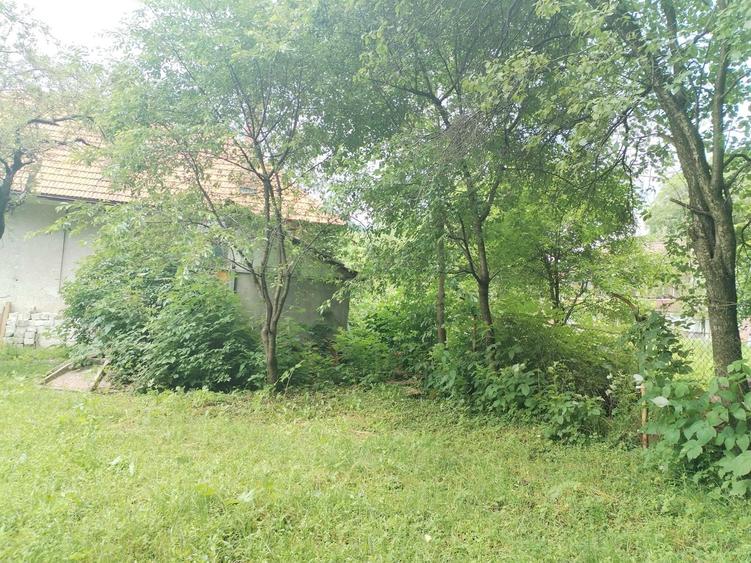 Casă cu 4 camere în Posada